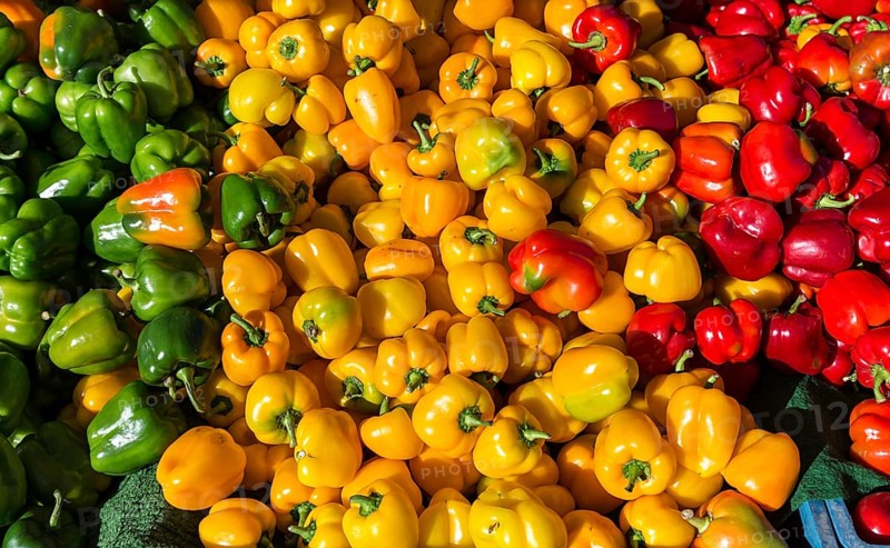 Bell pepper (Capsicum) green