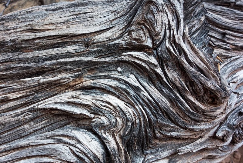 Deadwood