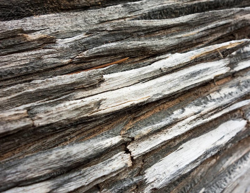 Deadwood