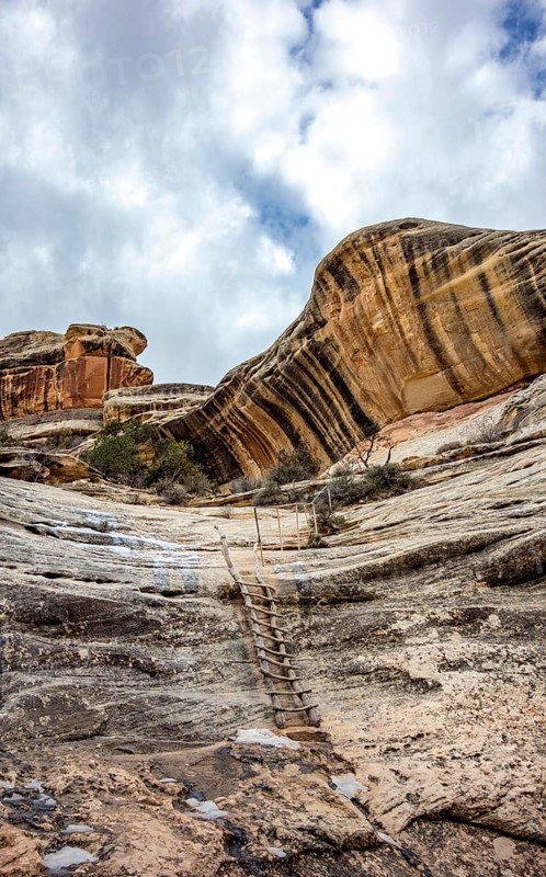 Hiking trail with wooden ladder on rock face