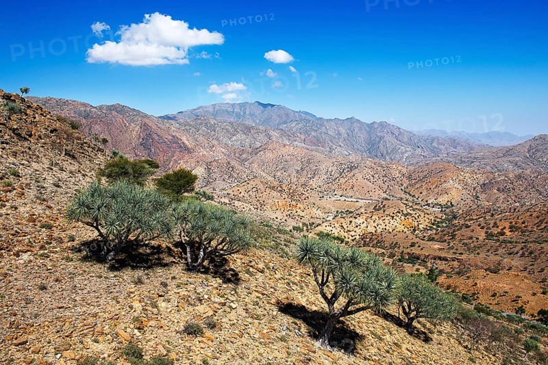 Barren plateau