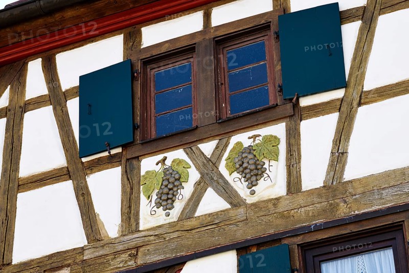 Half-timbered house with stylized vines