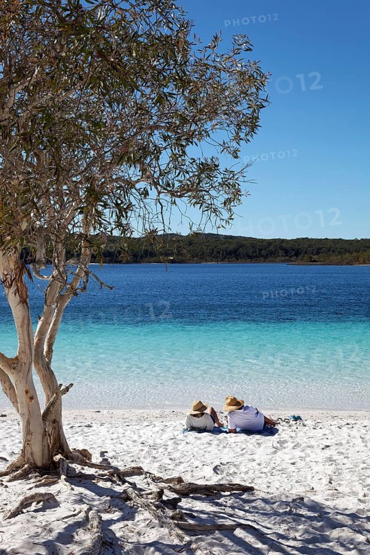 Couple lying on the sandy beach next to niaouli
