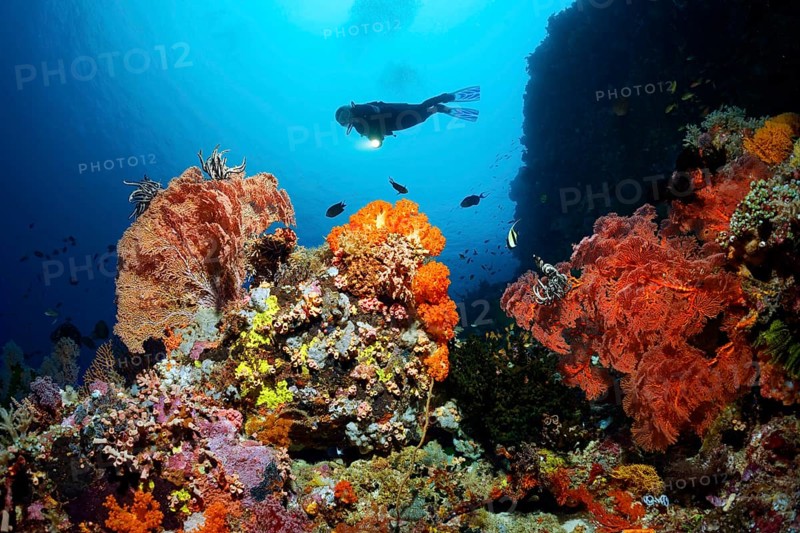 Diver near cliff