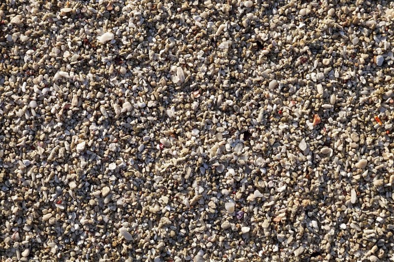 Fine coral rubble