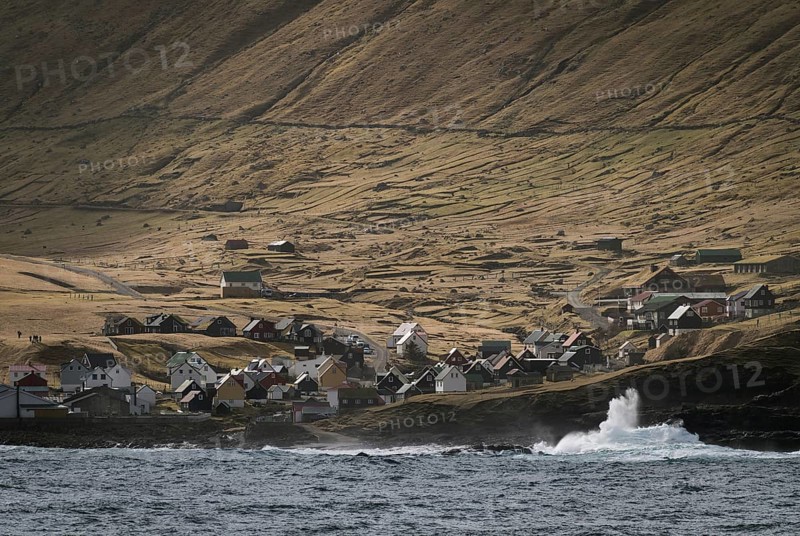 Coast and Waves