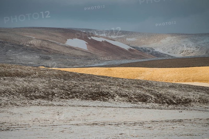 Barren