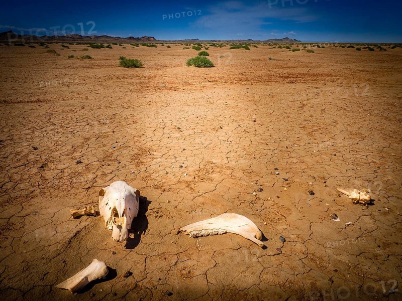 Gobi Desert
