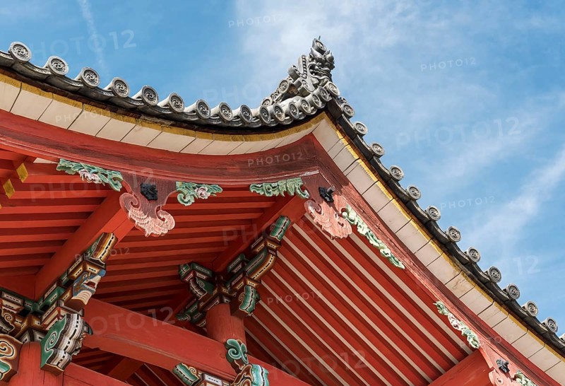 Roof detail
