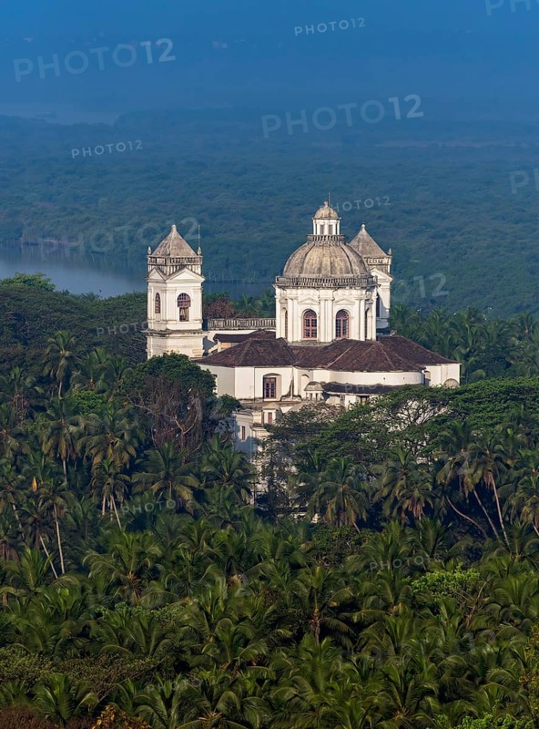 St. Cajetan Church among palm trees