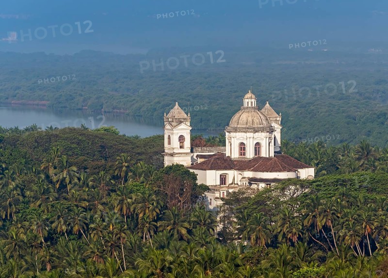 St. Cajetan Church among palm trees