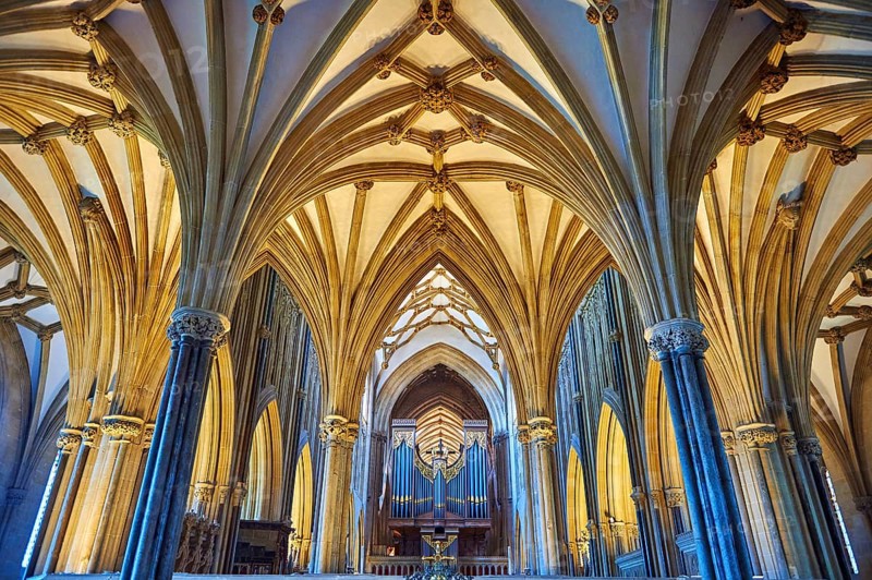 Interior and organ