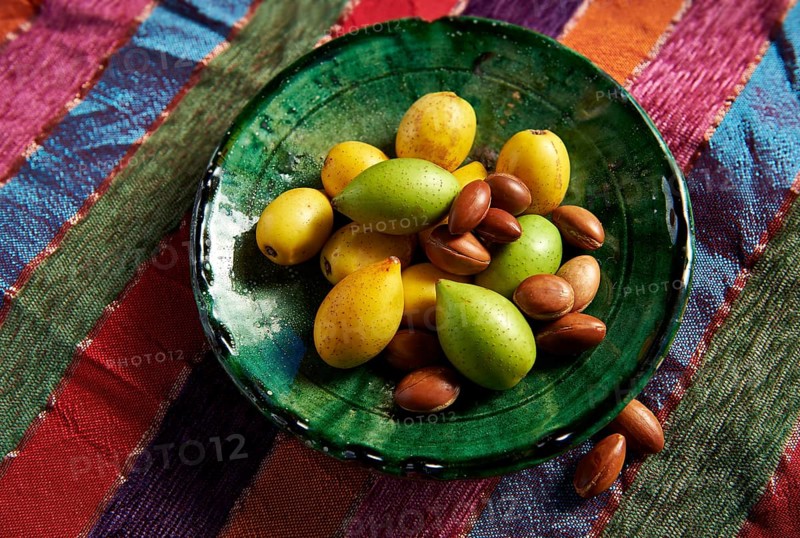 Fresh Argan fruits and Argan nuts (Argania spinosa)