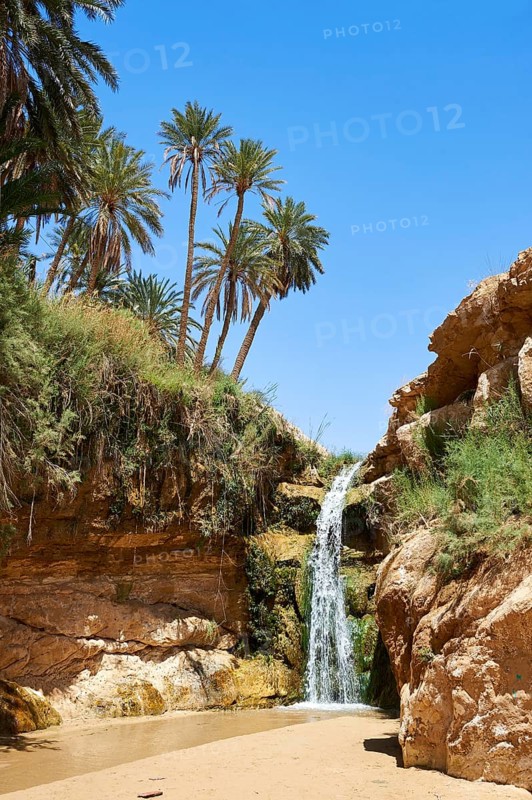 Waterfall amongst the date palms of the oasis of Mides