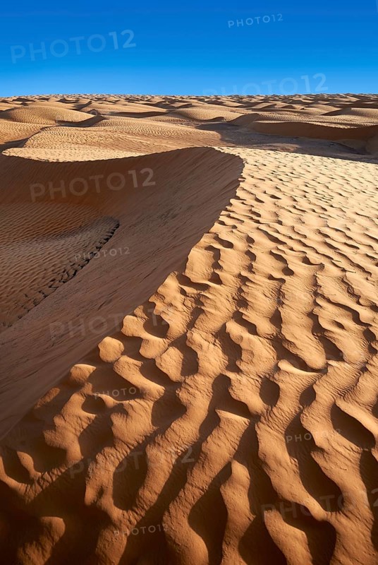 Sand dunes of Grand Erg Oriental near the oasis of Ksar Ghilane