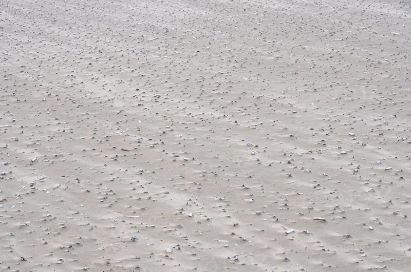 Sand drifts with broken mussels on the beach of the North Sea island of Juist