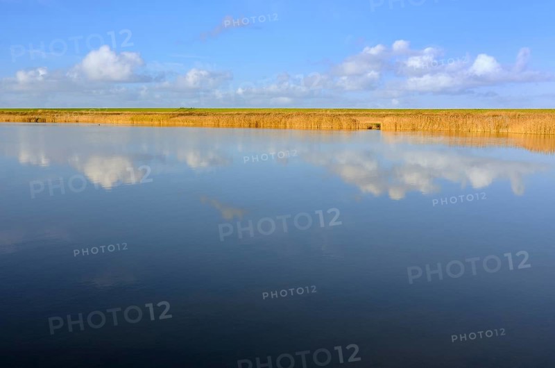 Cumulus clouds reflected in water