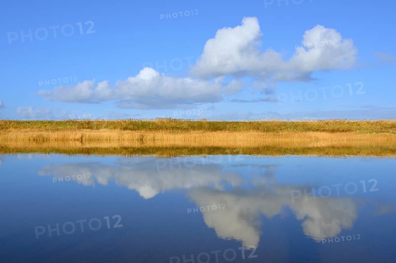 Cumulus clouds reflected in water