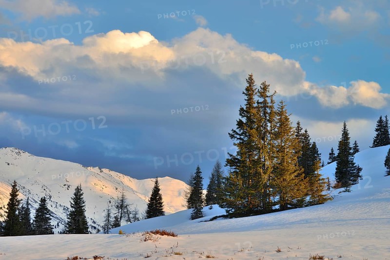 Winter landscape