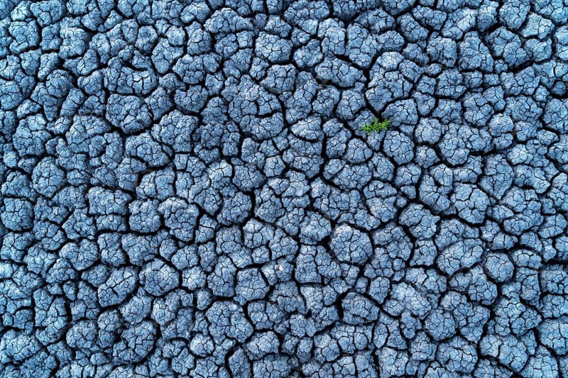 Small green plant in dried out soil