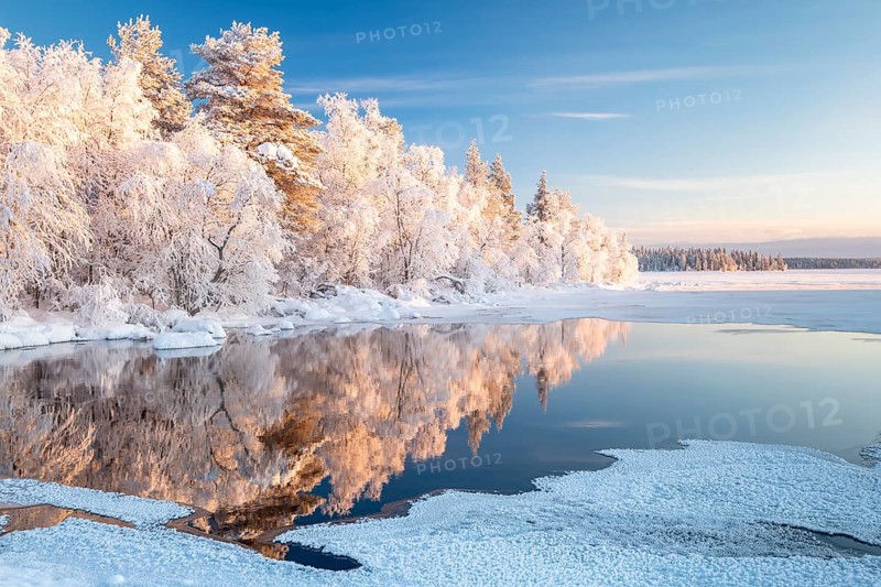 Snow-covered trees reflected in a semi-frozen lake