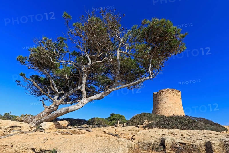 Tower of Cala Pi
