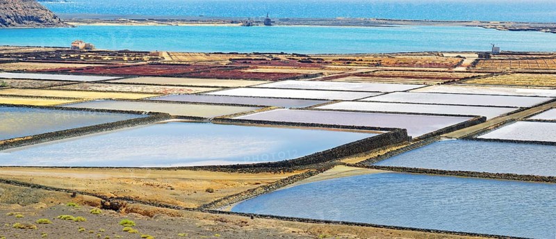 Sea salt production