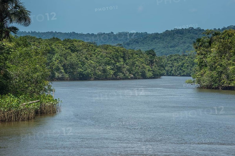 Comte river flows through jungle