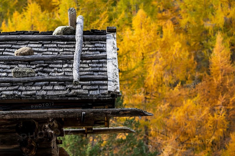Mountain hut