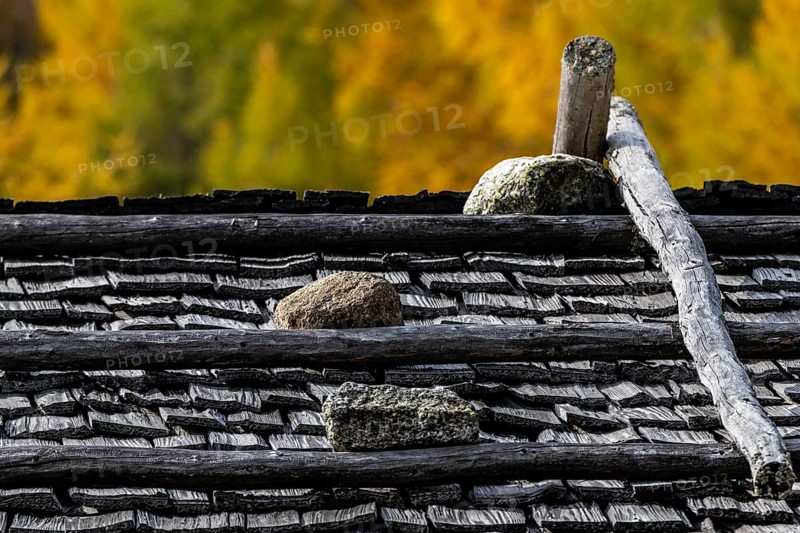 Mountain hut