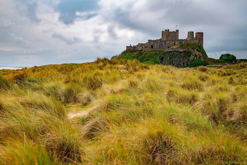 Dunescape with grass in front of Bamburgh Castle