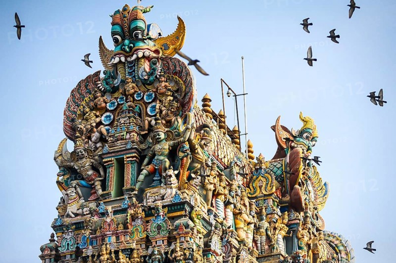 Doves flying around the Sri Meenakshi Sundareshwarar temple