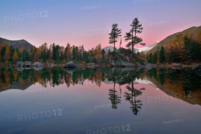 Larch forest reflected in Lake Lago di Saoseo