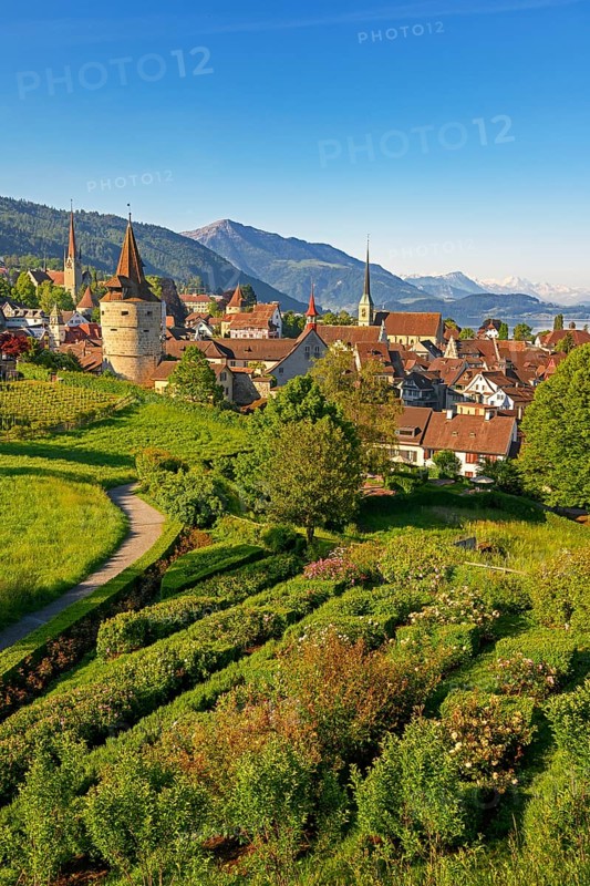 Town view with Capuchin tower and church