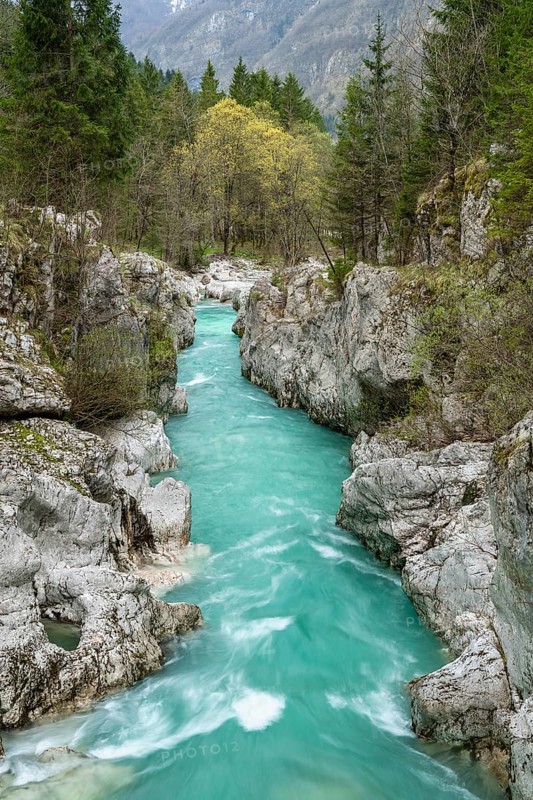 Emerald green wild river Soca flows through narrow canyon