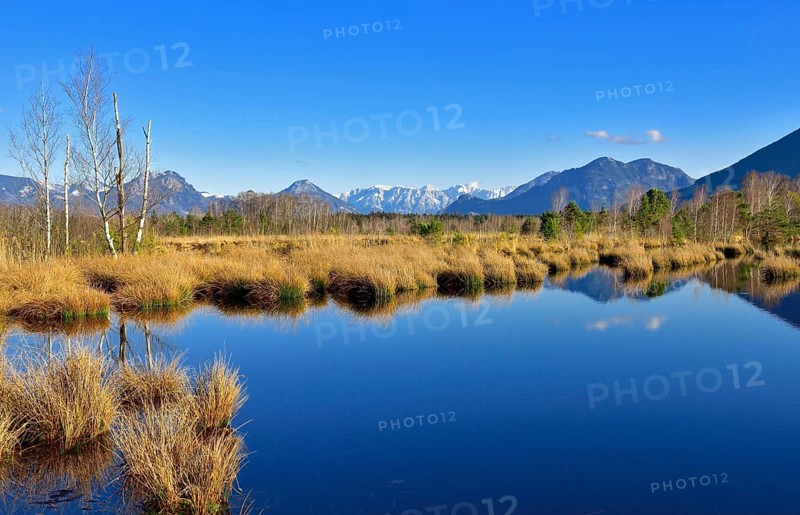 Moor pond