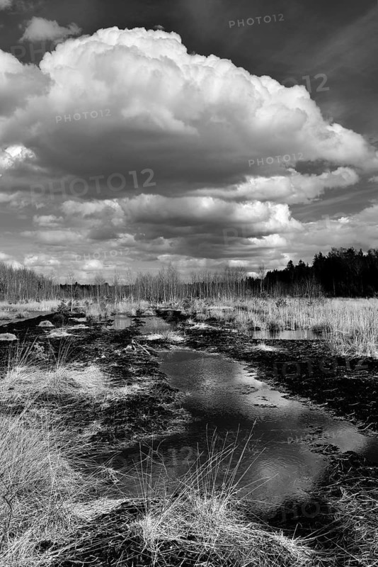 Waterlogged peat extraction site