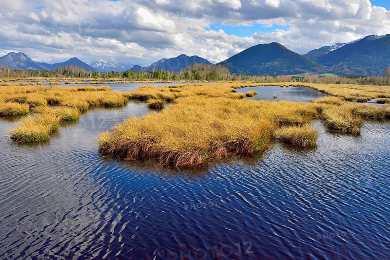 Moorland with cloudy sky