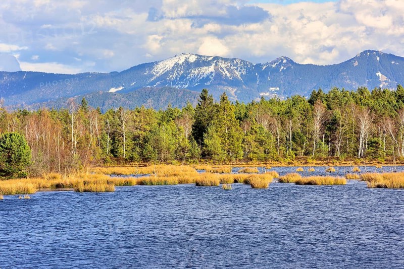 Moor landscape