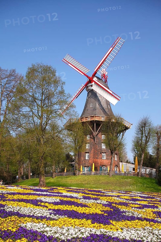 Windmill Herdentorswallmuhle in ramparts in spring