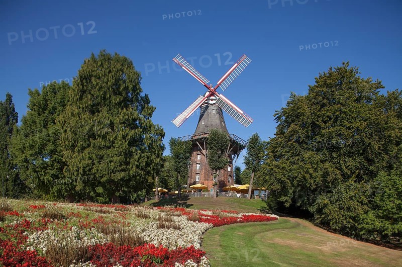 Windmill Herdentorswallmuhle in ramparts in spring