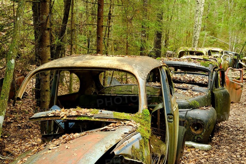 Scrap cars in a row in the forest