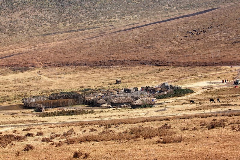 Maasai village