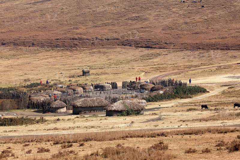 Maasai village