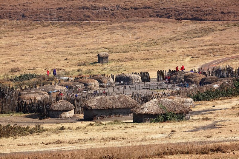 Maasai village