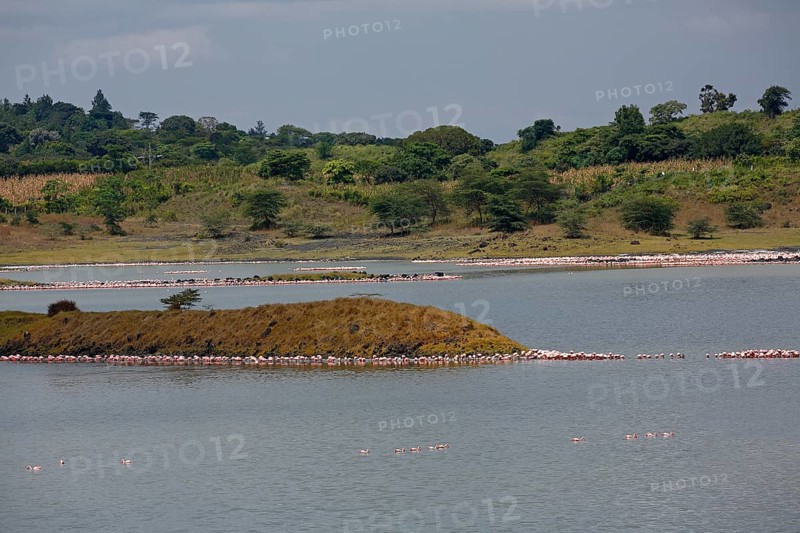 Big Momella Lake