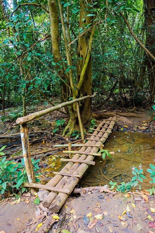 Bridge over a small stream