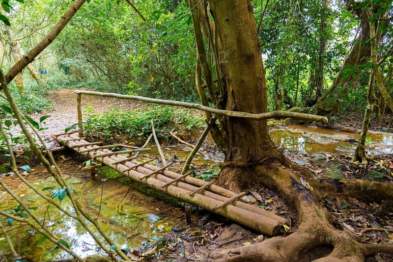 Bridge over a small stream