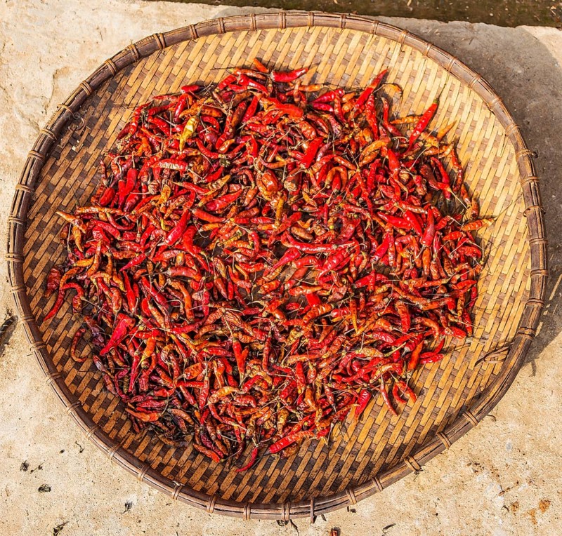 Chillies drying in basket