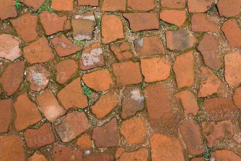 Old brick path